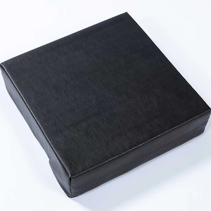 Easy Raiser Chair Cushion 300