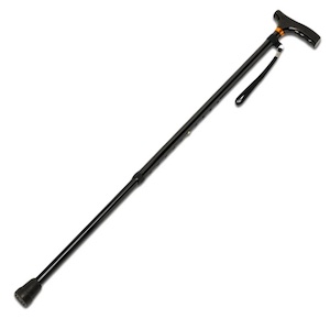 Black Adjustable Walking Stick 300